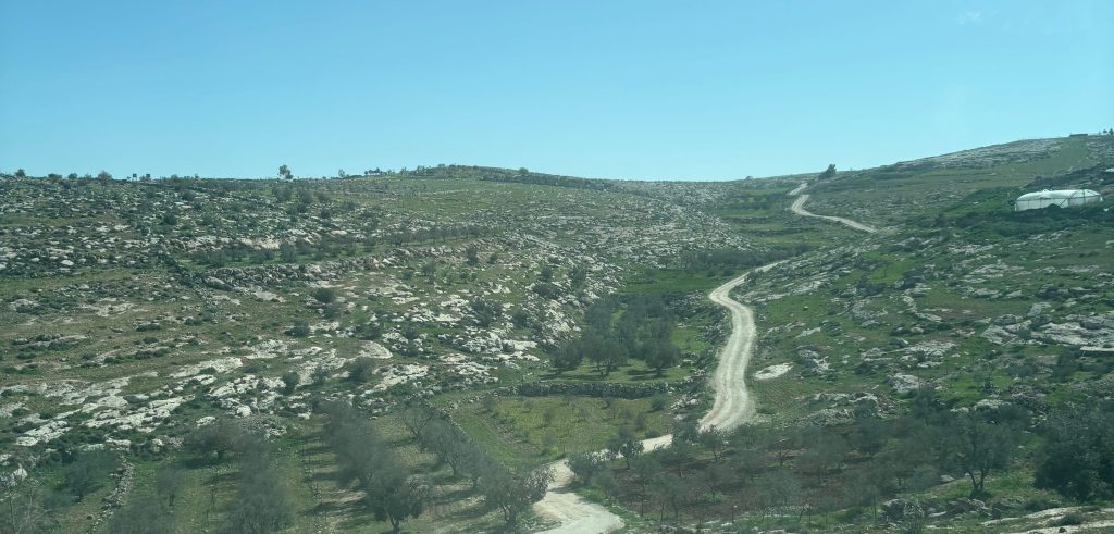 Longing for Wholeness